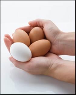 salmonellahuevos.jpg